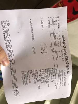 孕酮太低 醫(yī)生開了孕酮藥 怎么辦